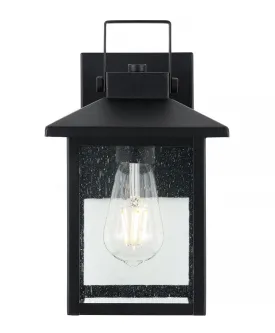 Donald 6.75" Iron/Seeded Glass Rustic Traditional Lantern LED Outdoor Lantern