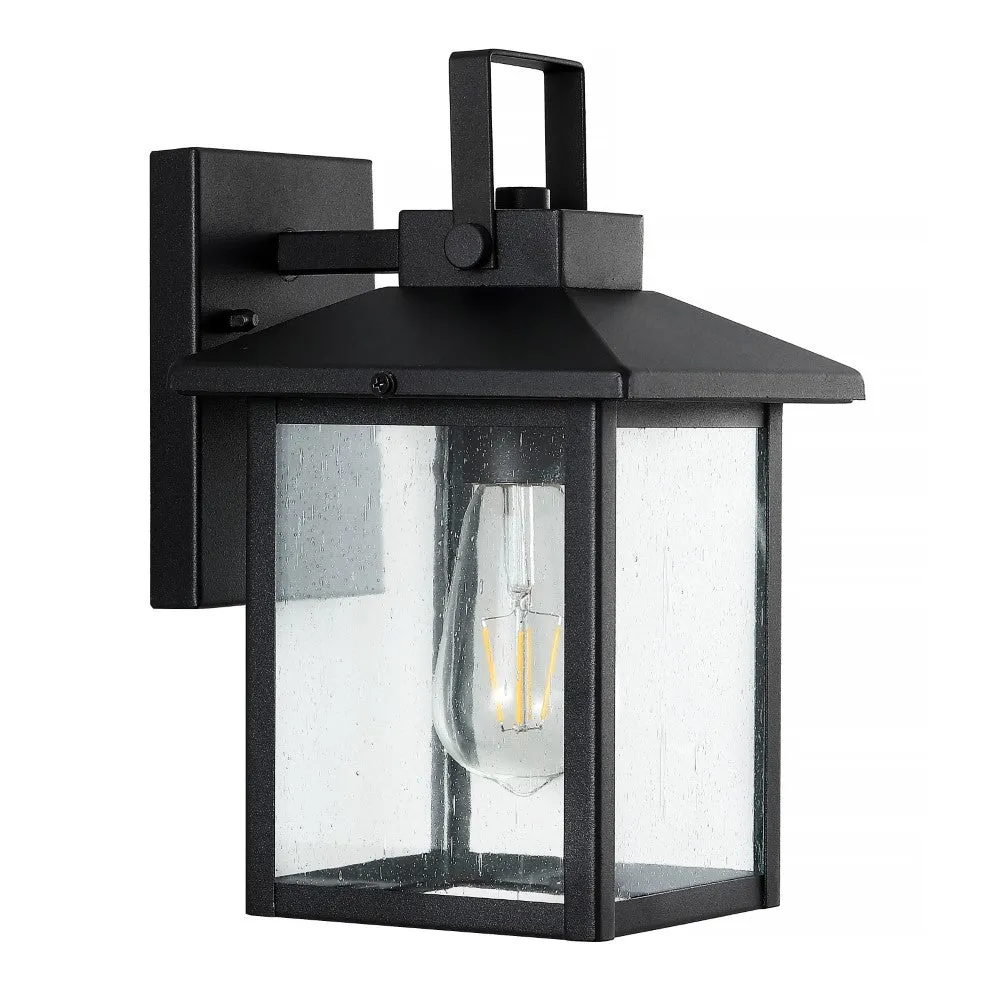 Donald 6.75" Iron/Seeded Glass Rustic Traditional Lantern LED Outdoor Lantern