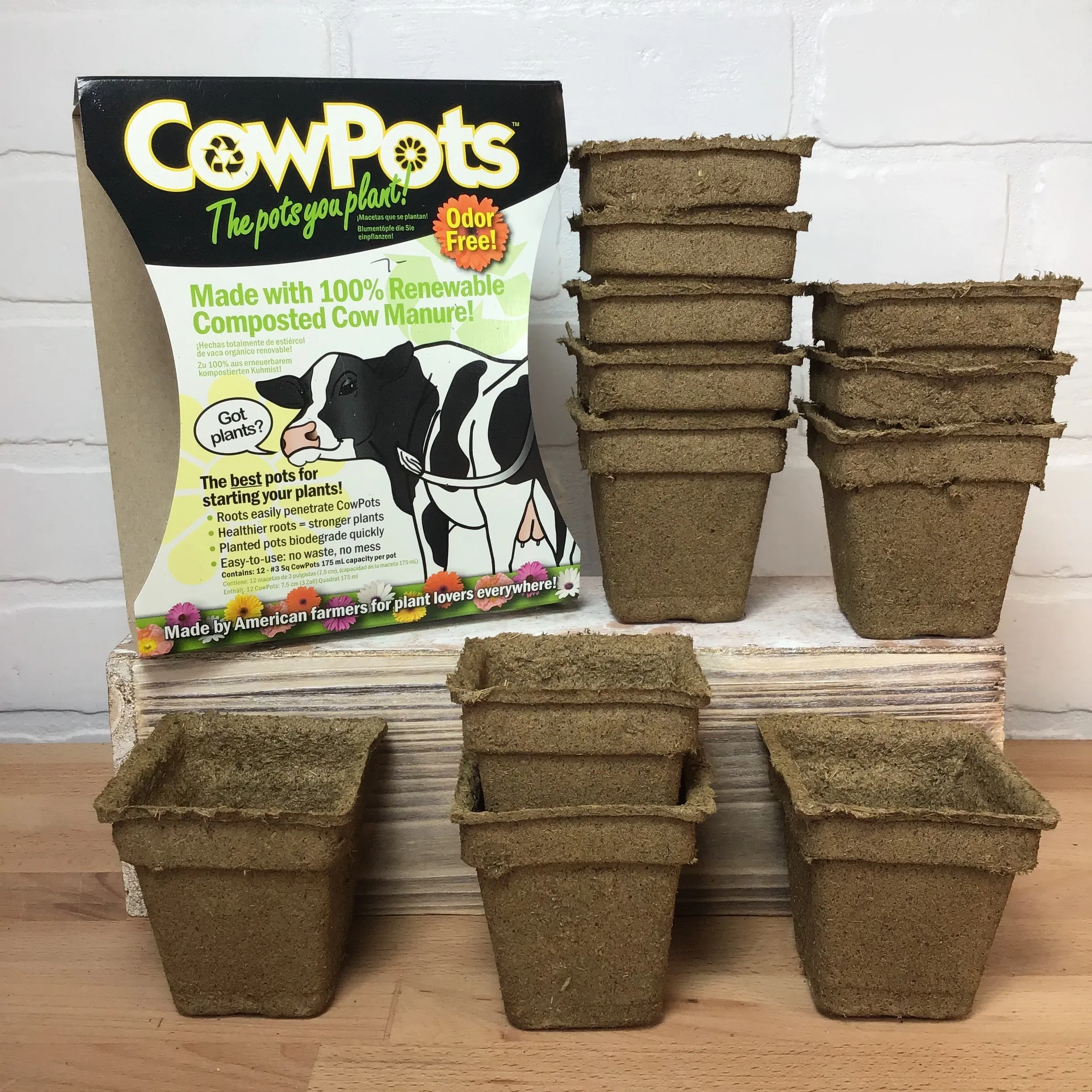 Summit Cow Pots - 3in Squares - 12pk