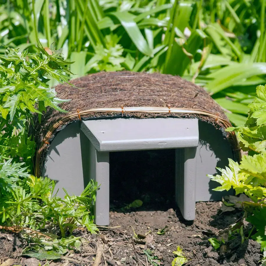 Timeless Hedgehog Haus Grey