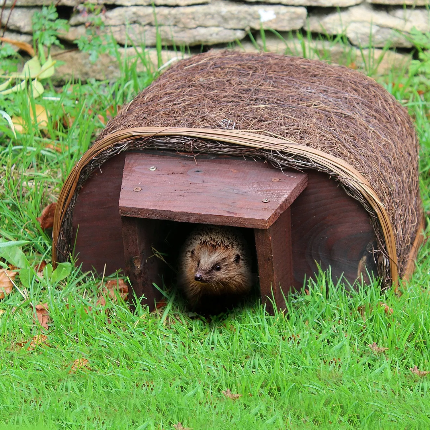 Wildlife World Hedgehog Haus