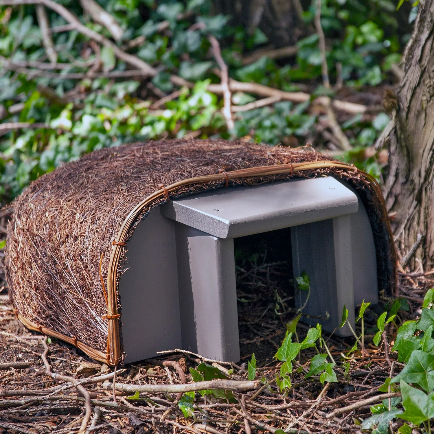 Wildlife World Timeless Hedgehog Haus Grey